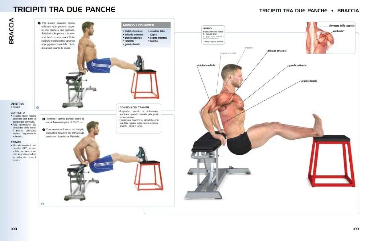 Anatomia della crescita muscolare. Guida all'allenamento funzionale per aumentare la massa muscolare. Ediz. a colori
