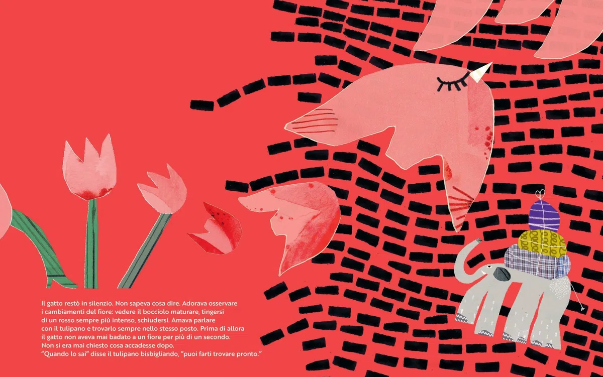 Il gatto e il tulipano. Ediz. illustrata