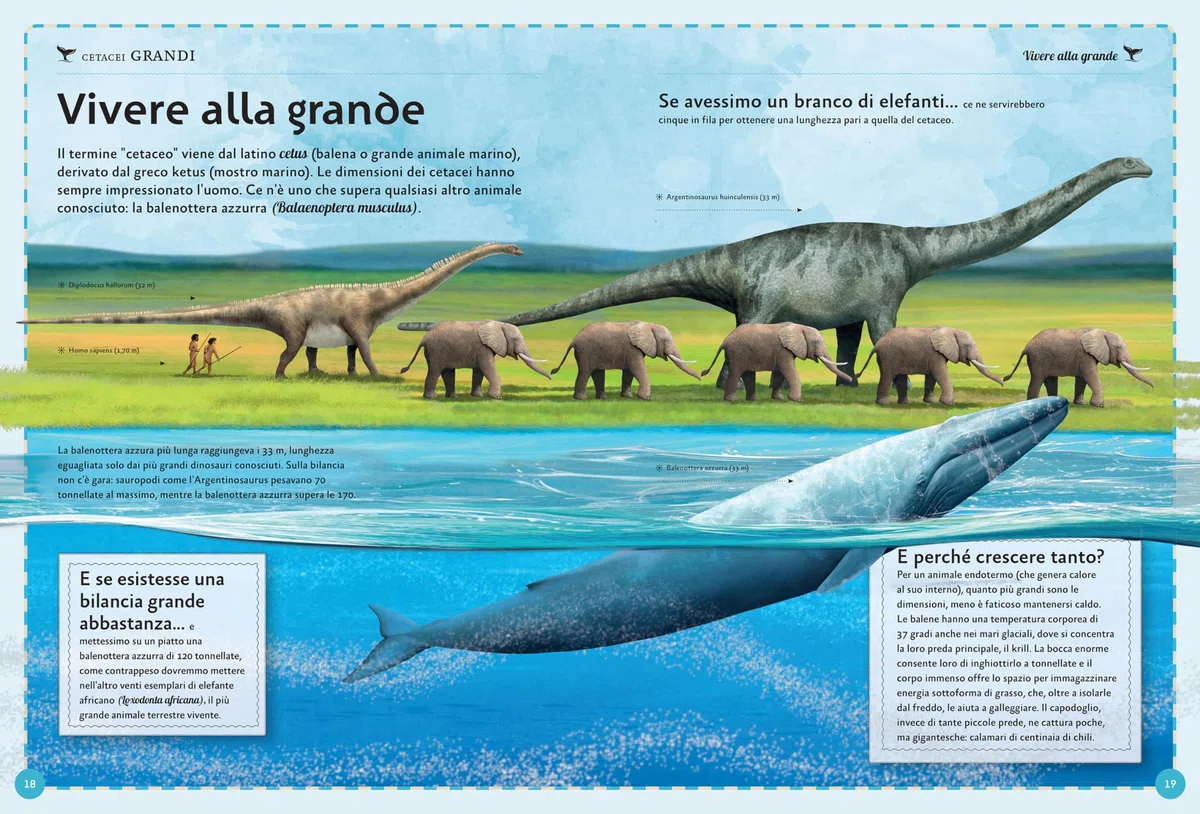 Il magnifico libro delle balene. Ediz. a colori