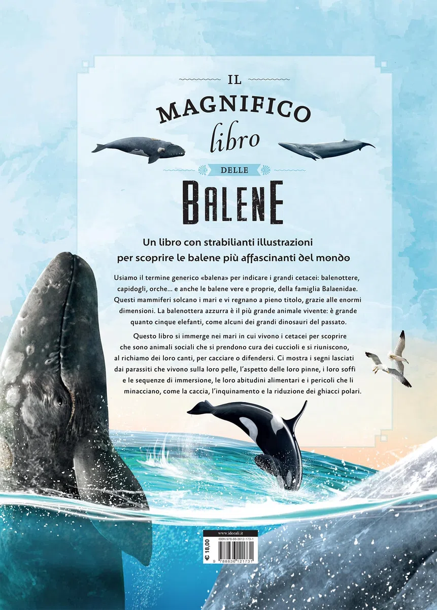 Il magnifico libro delle balene. Ediz. a colori