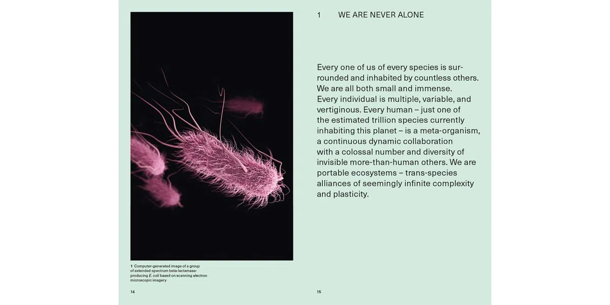 We the Bacteria: Notes Toward Biotic Architecture