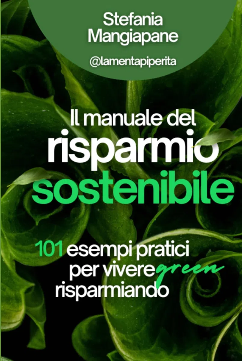 Il manuale del risparmio sostenibile: 101 esempi pratici per vivere green risparmiando