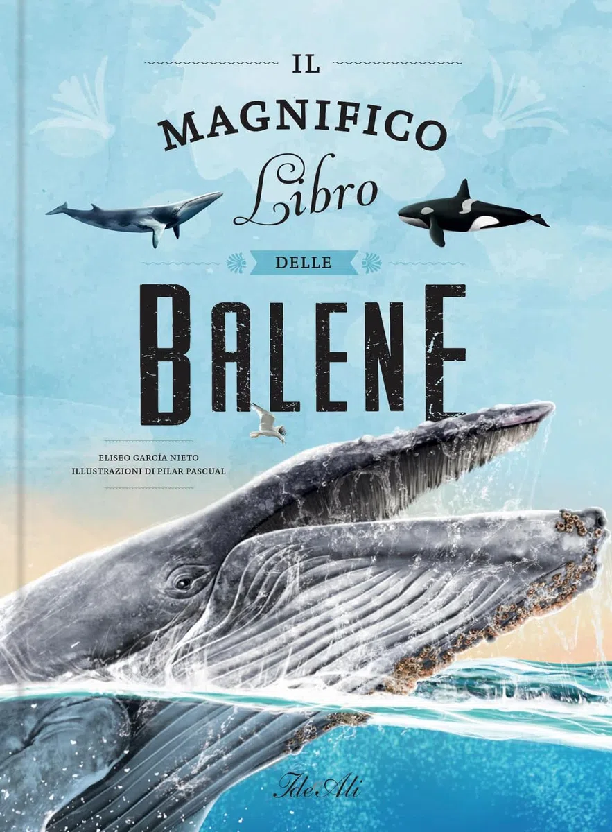 Il magnifico libro delle balene. Ediz. a colori