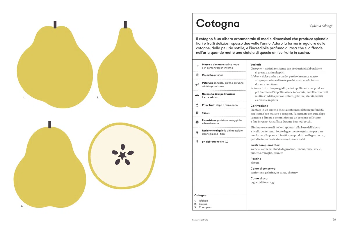 L'orto in conserva