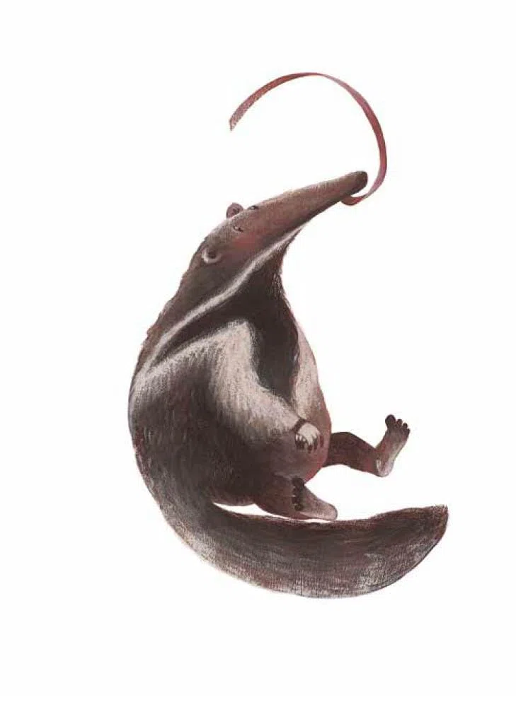 La ginnastica degli animali. Ediz. a colori