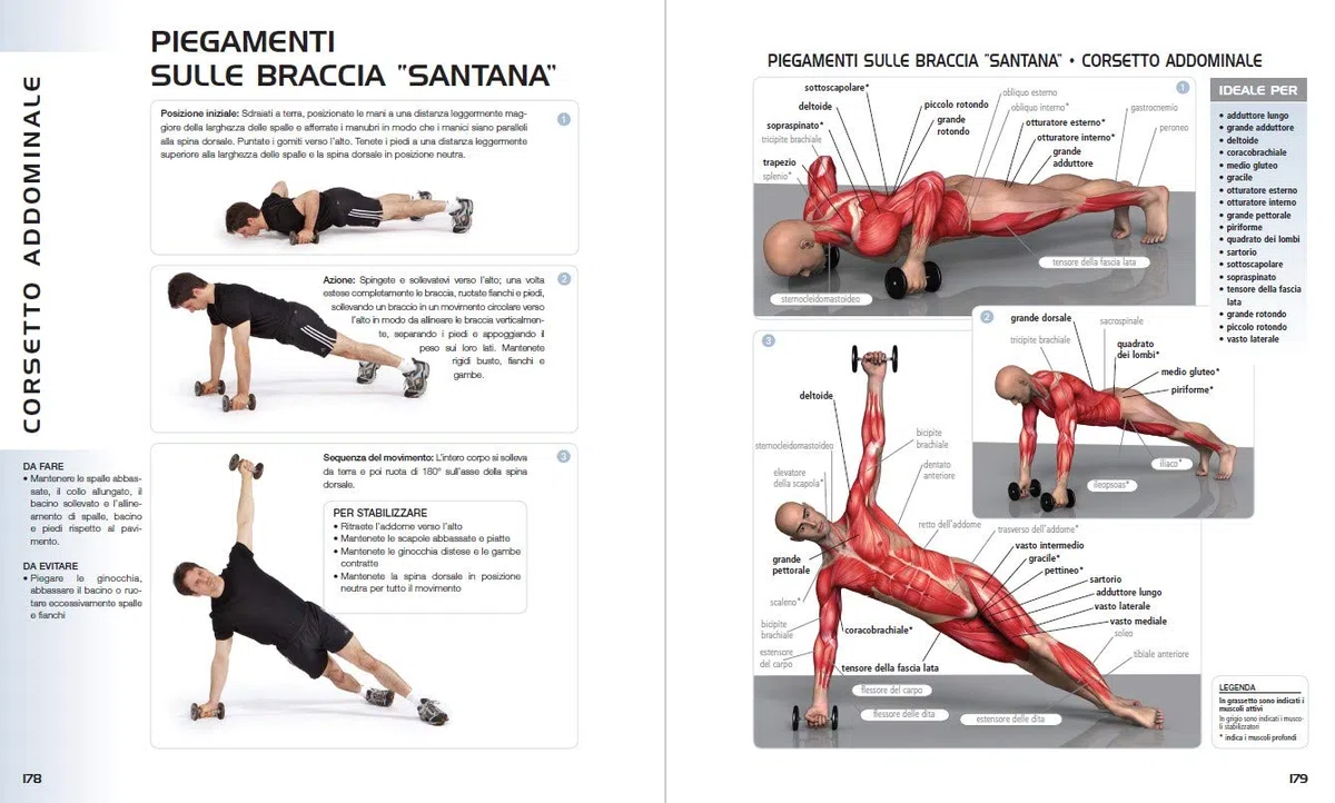 Anatomia dell'esercizio fisico