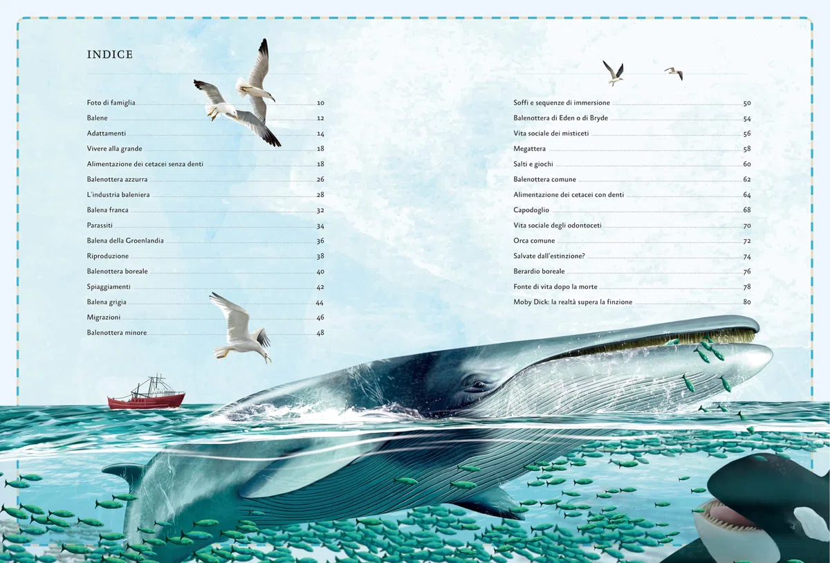 Il magnifico libro delle balene. Ediz. a colori