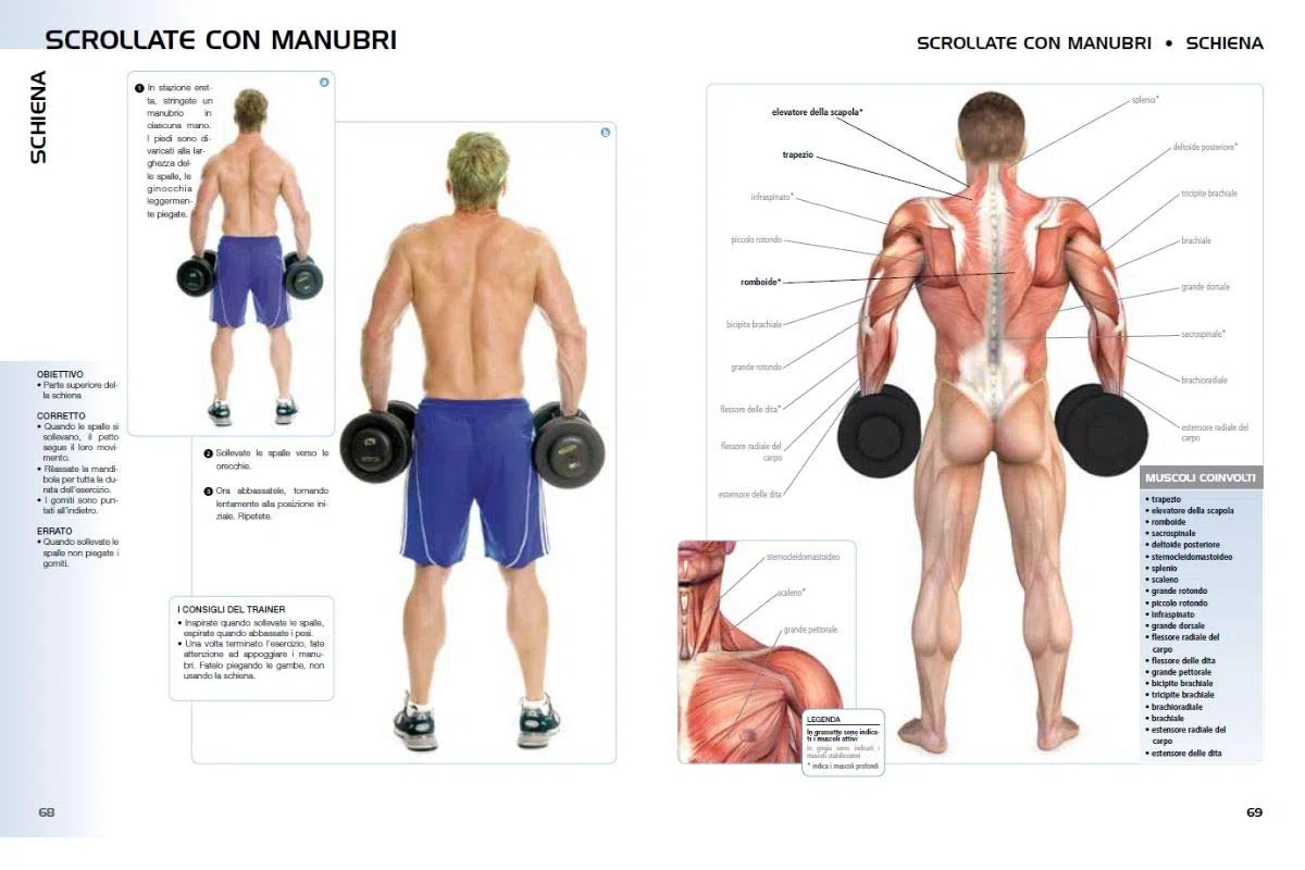 Anatomia della crescita muscolare. Guida all'allenamento funzionale per aumentare la massa muscolare. Ediz. a colori