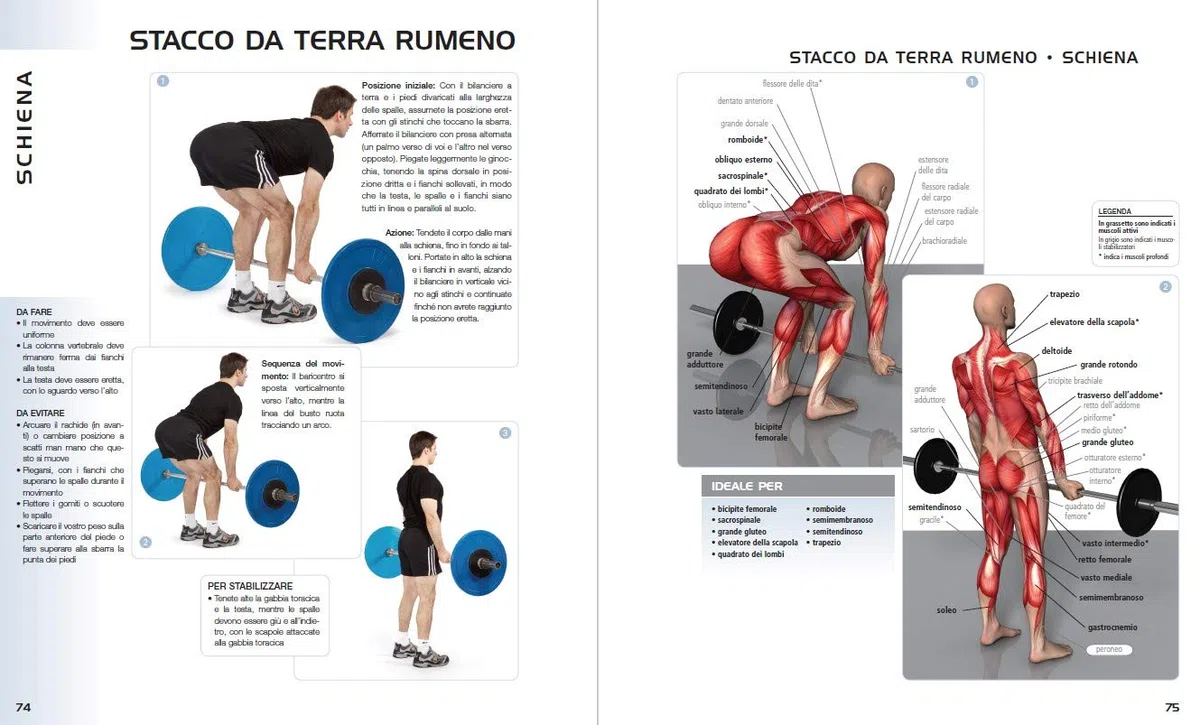 Anatomia dell'esercizio fisico