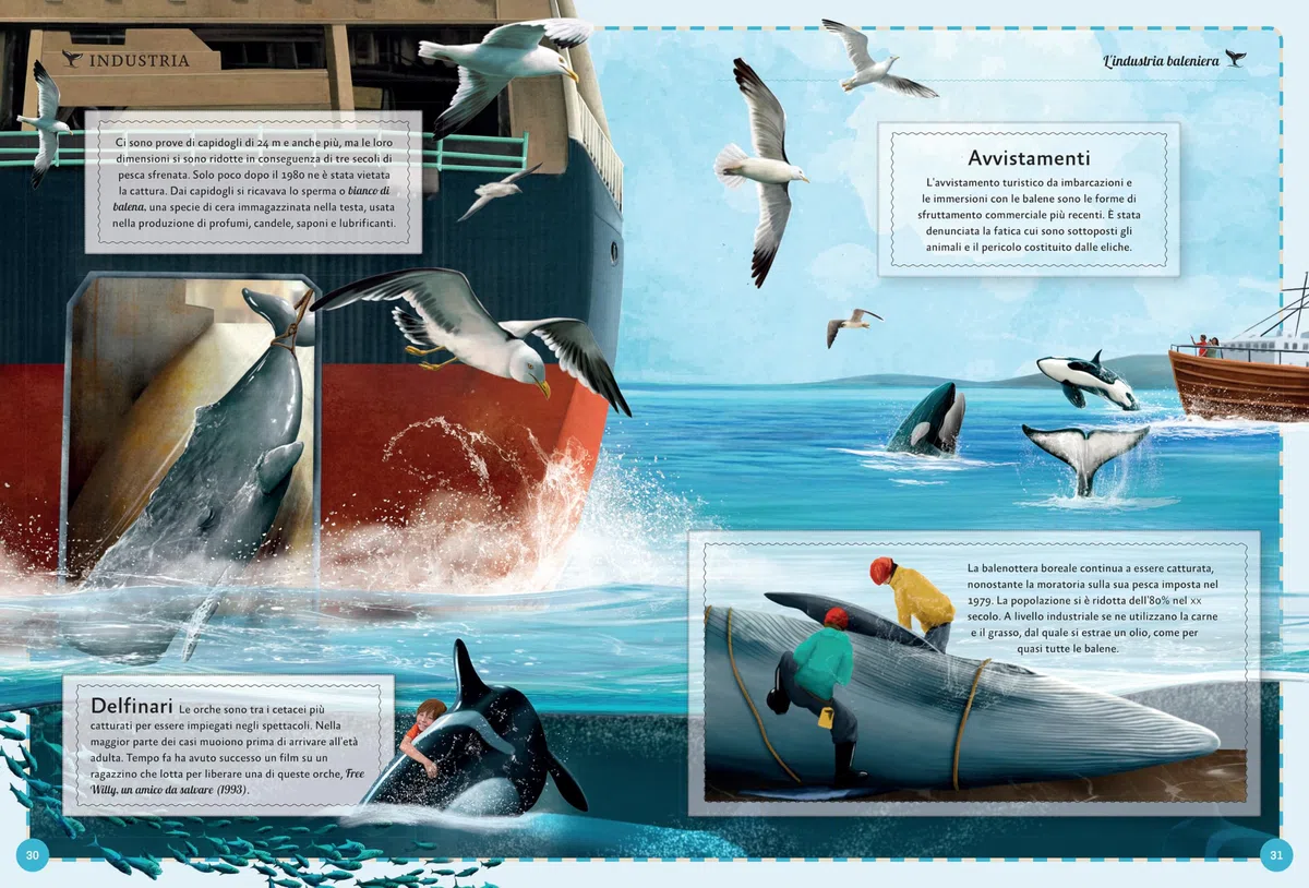 Il magnifico libro delle balene. Ediz. a colori